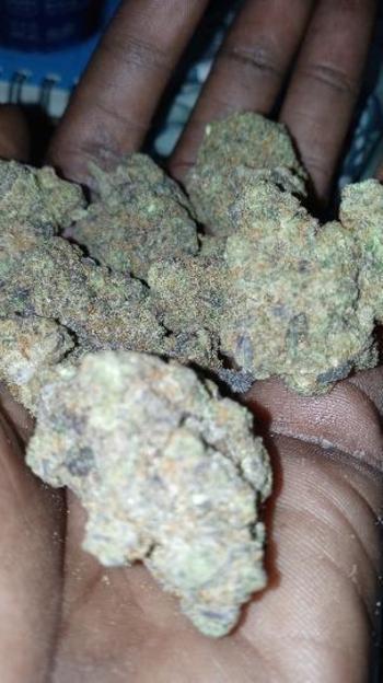 7279330531, female escort, Ocala